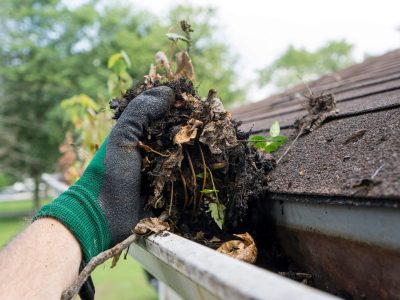 City Landscaping Dublin: Gutter Cleaning, Gutter Emptying, Fascia & Soffit Cleaning Services in Dublin