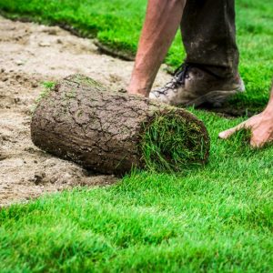 Turf Installation